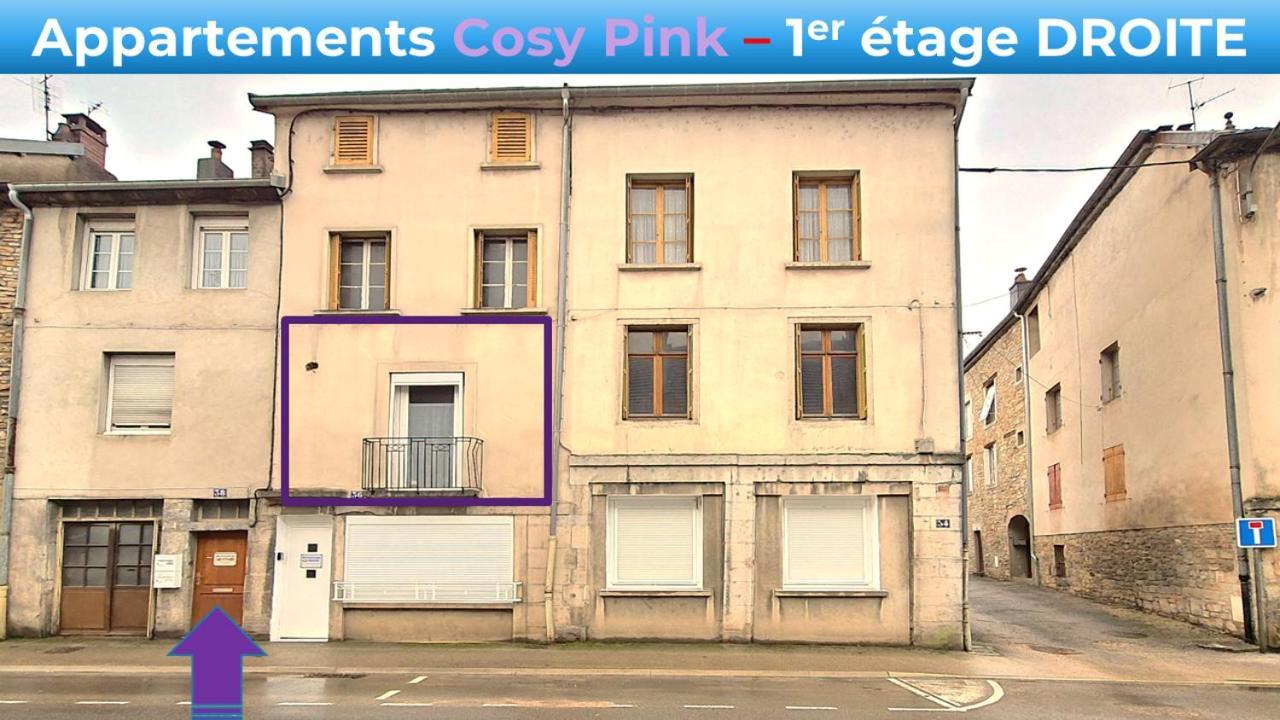 Appartement Cosy Pink Salins Les Bains מראה חיצוני תמונה